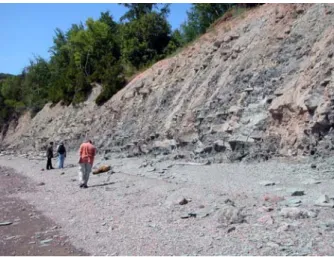 Figure 2: Outcrops of fossiliferous marine sediments  along the beach at Miguasha WHS and PP