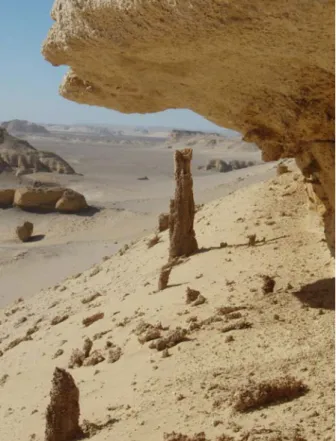 Figure 6: Wadi Al-Hitan (Whale Valley) World  Heritage Site in the Western Desert of Egypt displays  the remains of Late Eocene archeocete whales and  other fossils, and protects the site for further research  (see P ETERS  et alii, 2009)