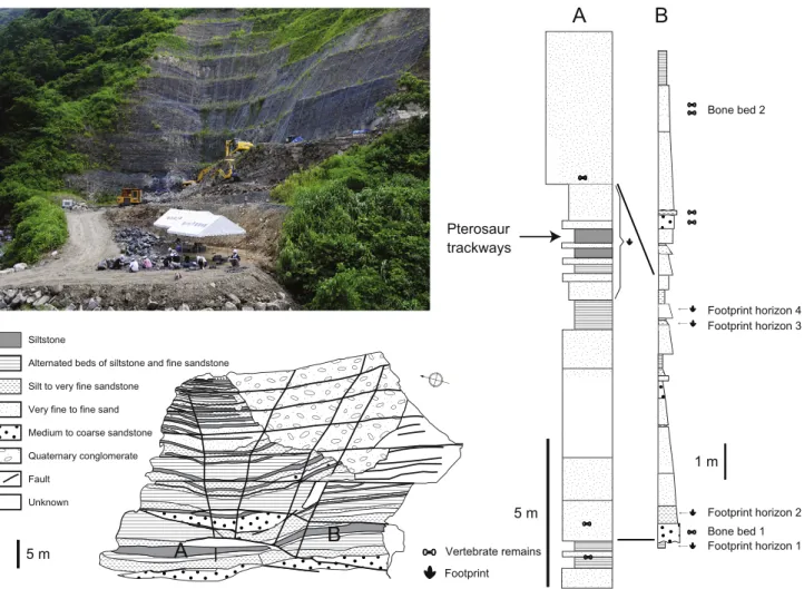 Fig. 2. Panorama view with the sketch of the Kitadani Dinosaur Quarry and geological columnar section of the site indicating the pterosaur track-bearing horizon associated with other fossils.