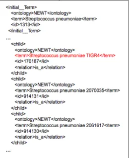 Figure 1 illustrates the ambiguity in species names normalization, where two types  of  bacteria  belong  to  one  family,  but  each  has  different  identifier  in  NEWT: 