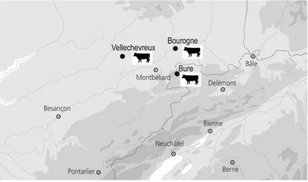 Fig. 1 : Localisation des dépôts de bovins de la Porte de Bourgogne (fond de carte SAP Porrentruy)