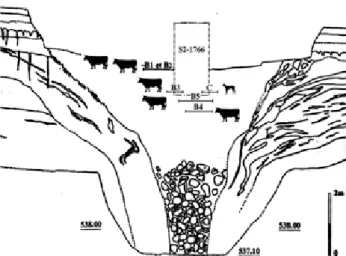 Fig. 2 : Bure « Montbion ». Projection stratigraphique des squelettes  dans la doline