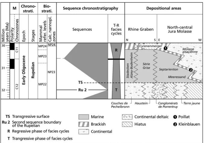 Figure 2. Lithostratigraphical correlation chart for the Early Oligocene of the Rhine Graben and north-central Jura Molasse (modified from Picot et al