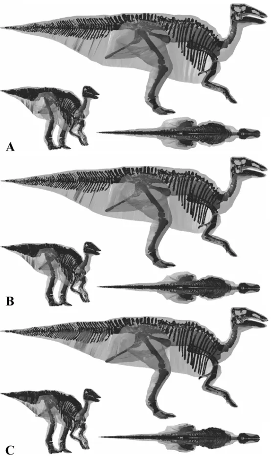 Figure 14. The three alternative models of Edmontosaurus annectens BHI 126950 in lateral, oblique right craniolateral and dorsal views