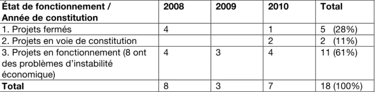 Tableau 15. Les difficultés que rencontrent les micro entrepreneur-e-s 