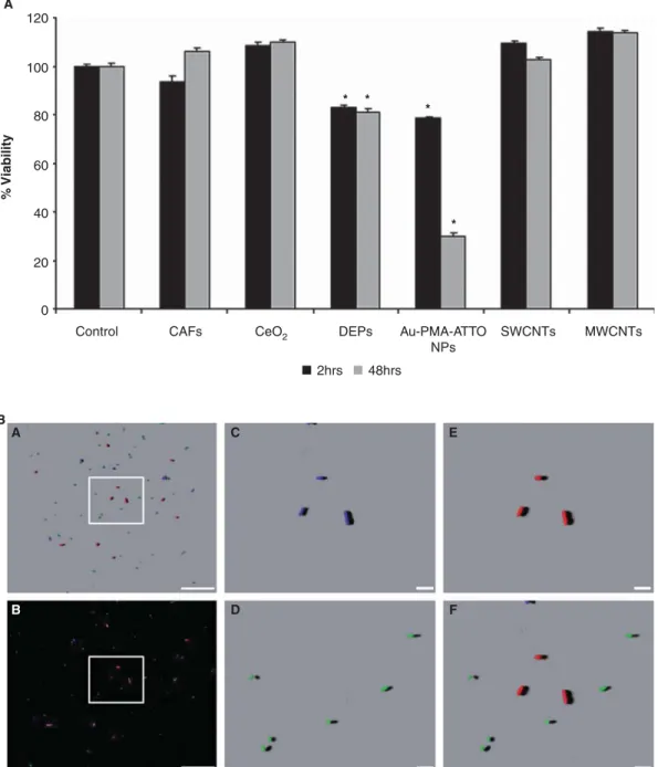 Figure 3. (A) Quantitative cytotoxicity of the TA98 strain of Salmonella typhimurium after exposure to crocidolite asbestos ﬁbres (CAFs), cerium dioxide (CeO 2 ) nanoparticles (NPs), diesel exhaust particles (DEPs), single-walled and multi-walled carbon na