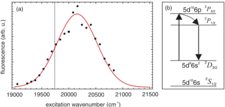 FIG. 6. (a) Excitation spectrum of the 5d 9 6s 2 2 D 3/2 – 5d 10 6s 2 P 3/2 transition of Au in solid He at 1.5 K and 36 bar