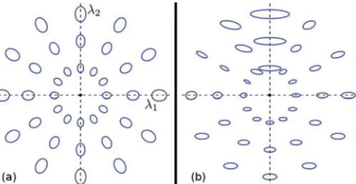 FIG. 4. (Color online) Graphical representation of the metric in the λ 1 -λ 2 plane, where a conical singularity (critical point) is at λ 1 = λ 2 = 0