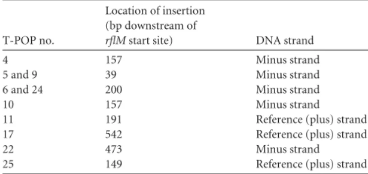 FIG 3 FlhD 4 C 2 activates its own repressor, RﬂM. (A) Expression of an rﬂM- rﬂM-lac transcriptional fusion under ﬂhDC overexpression conditions compared to wild-type ﬂhDC expression conditions
