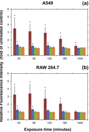 Fig. 8 – Formation of ROS in A549, epithelial (a) and RAW 264.7, macrophage (b) cells after nanomaterial incubation for 30 min, 60 min, 120 min, 180 min and 24 h