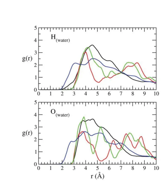 Figure S3. Radial distribution function g(r) from MD1 trajectory. Top panel: g(r) for H(water) with  MeAcr +  atoms; bottom panel: g(r) for O(water) with MeAcr +  atoms