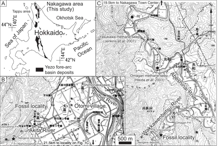 Fig. 1. Locality maps for the wood-falls described herein.   A. Overview of Hokkaido, Japan, with indication of Cretaceous Yezo forearc basin deposits