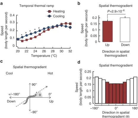 Figure 1 | Worms modulate speed according to temperature and temperature changes. (a) Wild-type (N2) worm speed was measured during heating (n ¼ 10) and cooling (n ¼ 10) temporal ramp assays and expressed as averages, with 95% conﬁdence intervals as error 