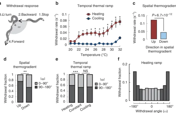 Figure 2 | Temperature and its changes affect withdrawal rate and reorientation angles