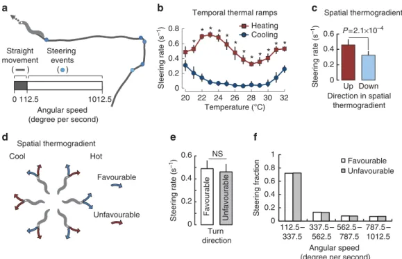 Figure 3 | Temperature and its changes affect steering rate but not steering direction