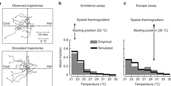 Figure 4 | Comparison of real versus simulated navigation of worms in spatial thermogradients