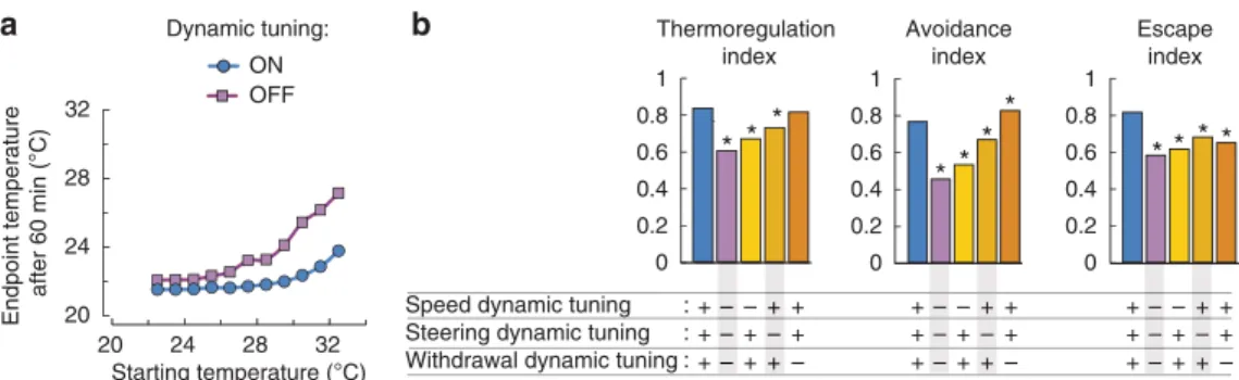Figure 6 | Dynamic tuning of speed and steering along the innocuous-noxious temperature continuum improves worm thermoregulation