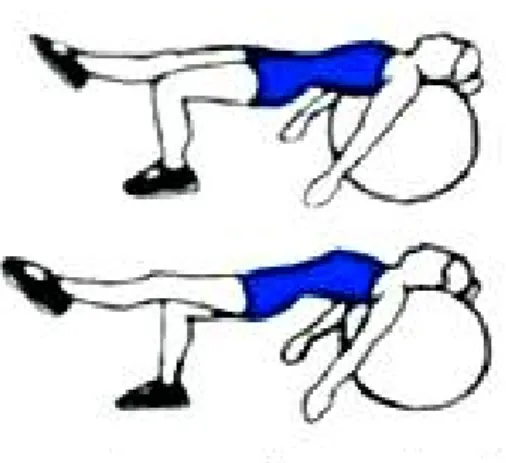 Figure 5: Leg bridge alterné avec épaules sur la swissball (Moret, 2013) 