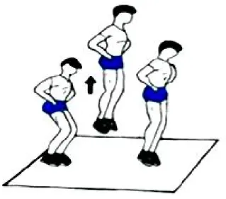 Figure 12: Squat jump (Moret, 2013)