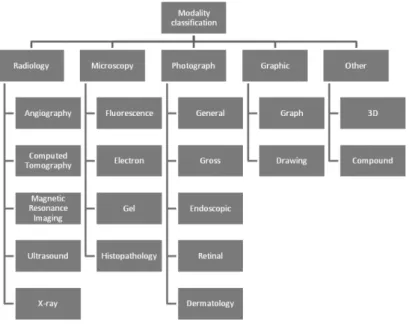 Fig. 1. Modality categories of the ImageCLEF 2011 medical task.