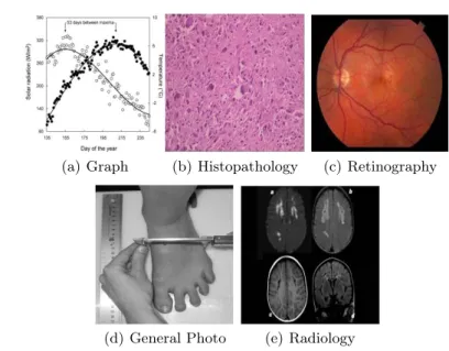 Fig. 2. Sample images from ImageCLEF 2011 medical data set including their class labels.