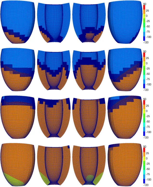 Figure 4.15. Membrane voltage (in mV) and adaptive mesh at t = 50, 100, 150, 200 ms for A 