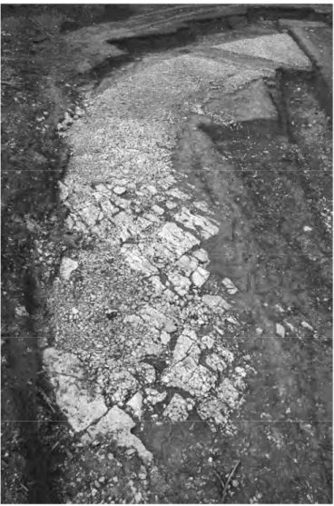 Fig. 3. Vue de la voie de Courtedoux (secteur D). Au premier plan,  vers le haut de la pente, les pans de rocher utilisés brut ; les 