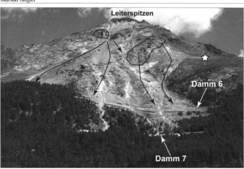 Abb. 10: Blick auf den oberen Bereich des Steinschlaghangs und die Leiterspitzen (3214 m ü