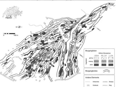Abb. 4: Ceomorphologische Karte des Murkegels mit lobenförmigen Ablagerungen, Depots am  Rande der Abflussrinnen (so genannte Levées) und Kanälen