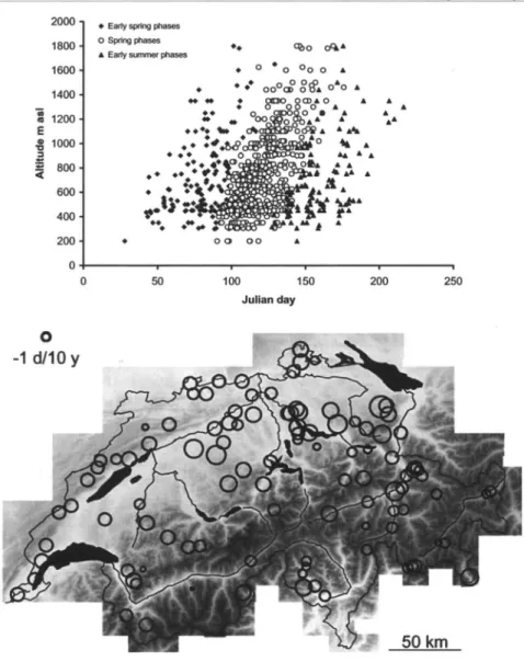 Abb. aus: Sibylle Studer et al. 2005 (Anm. 20) 