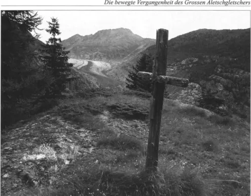 Abb. 10: Das Gletscherkreuz aus dem Jahre 1818 auf der «Baselflie» im Üsseren Aletschji