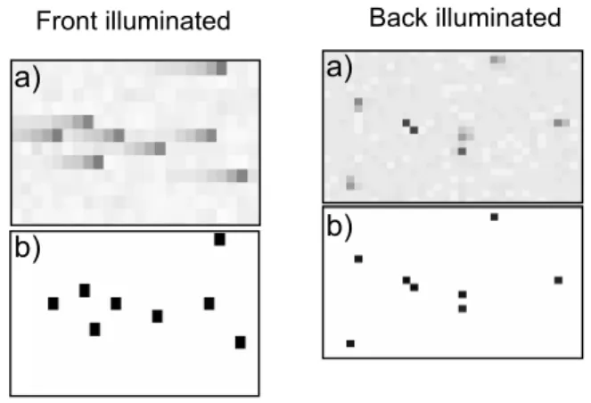 FIG. 9: Selected areas of raw and corrected im- im-ages of the FI and BI cameras.