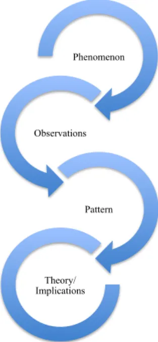 Figure 2.1 The Discovery-Oriented Research Pattern 