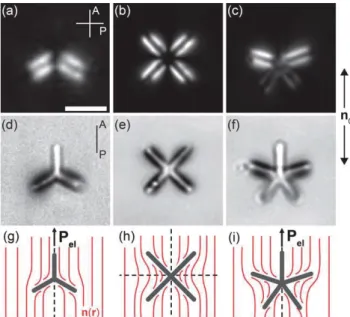 Fig. 1 Optical microscopy images under crossed polarizers (a – c) and parallel polarizers (d – f) showing isolated N-star colloids in their respective ground states.
