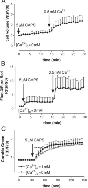 Fig. 5. Effect of Ca 2+ ions on cell swelling A. Low [Ca 2+ ] o strongly attenuated and slowed down cell swelling