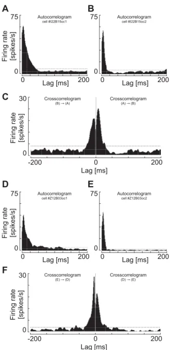 Fig. 8. Auto- and cross-renewal density histograms of a cell pair of type II units recorded in WT (A ⫺ C) and a cell pair of type II units recorded in PVKO (D ⫺ F) mice