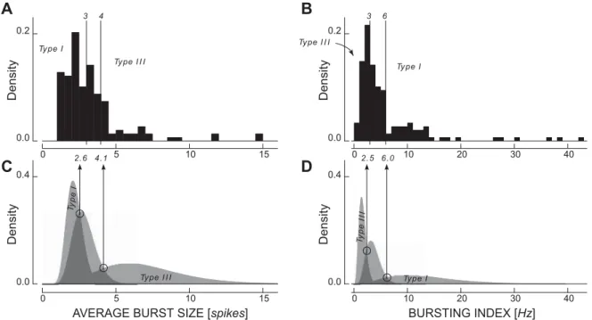 Fig. 3. Relative frequency (density) of the distribution of the average burst size (ABS) and bursting index (BI) for the overall sample formed by 148 cells recorded in the RTN of WT and PVKO mice