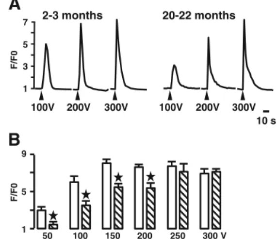 Fig. 1 Ca 2+ signals in PCA from young and old mice. a Typical Ca 2+