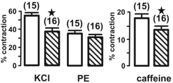 Fig. 5 Mean of KCl-, phenylephrine-, and caffeine-induced contrac- contrac-tion. Number of tested PCA was indicated in parenthesis in young (open bars) and old (hatched bars) mice