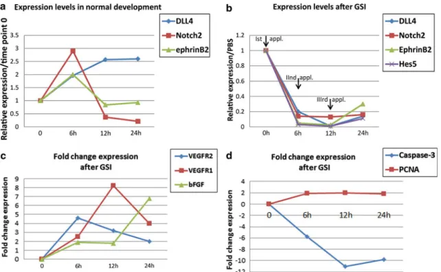 Fig. 1 Expression levels of genes related to Notch function in the chick area vasculosa after Notch inhibition by GSI