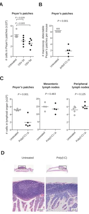 Figure 1UntreatedPoly(I:C) i.p.05101520P = 0.483 02468Mesentericlymph nodes100 m100 mPoly(I:C) http://doc.rero.ch