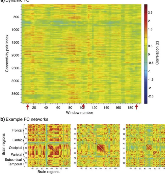 Fig. 2.(a) Example of dynamic FC for a HC subject (unfolded and temporally concatenated correlation matrices)