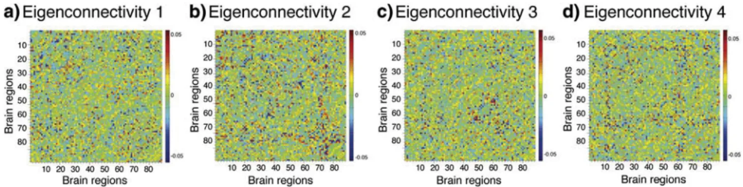 Fig. 3 also shows that most FC patterns contain connections of regions situated in both hemispheres, with the exception of eigenconnectivity 6 where the network of blue connections lies predominantly in the left hemisphere (inferior frontal areas) and red 
