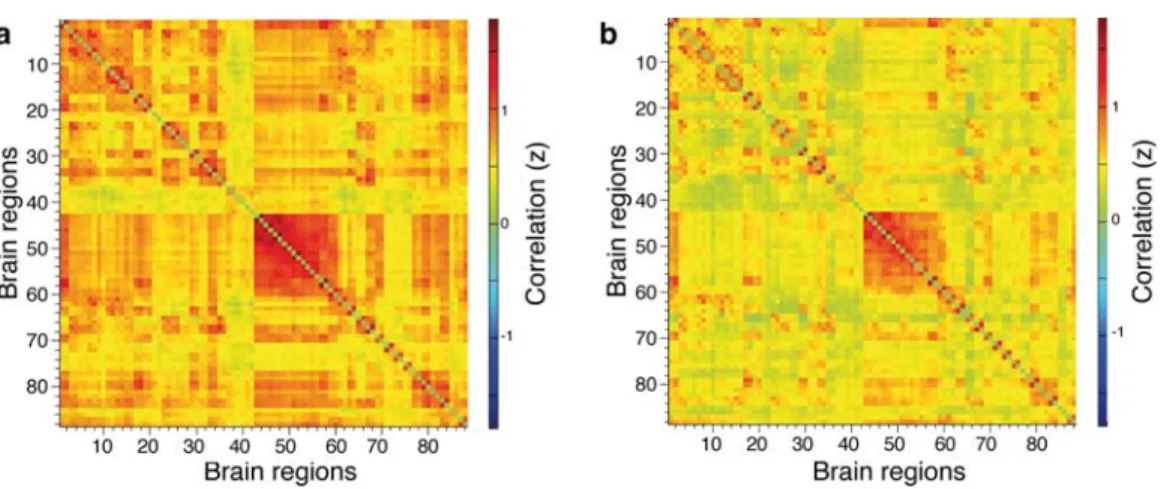 Figure 1: Average dynamic FC strength across time and separated for (a) HC subjects, (b) RRMS patients.
