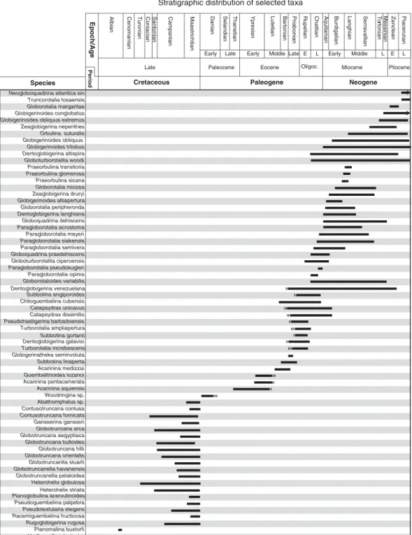 Fig. 9. Stratigraphic distribution of the species identiﬁed in the mud-breccia from the three studied MVs.