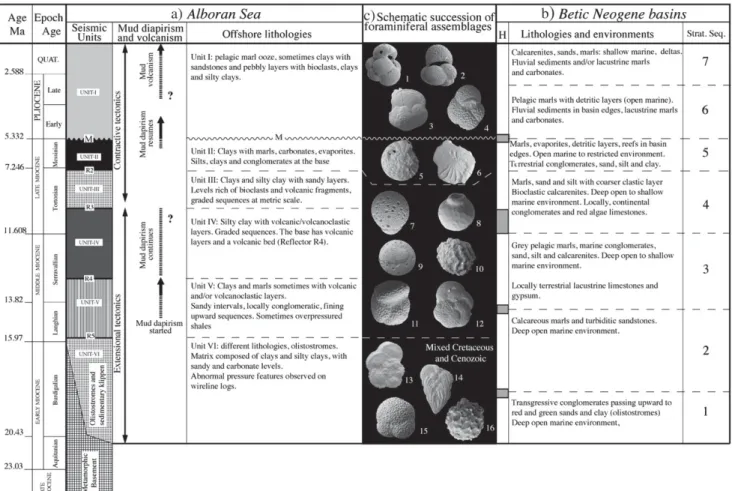 Fig. 3. Correlation of the Alboran Sea seismic units (a) with the main sedimentary sequences documented in the Betic Neogene basins (b), together with a short description of sedimentary environments (modiﬁed from a) Jurado and Comas, 1992; Comas et al., 19