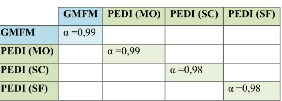 Tableau 8 : Coefficient α de Cronbach de GMFM et PEDI  GMFM  PEDI (MO)  PEDI (SC)  PEDI (SF)  GMFM  α =0,99   