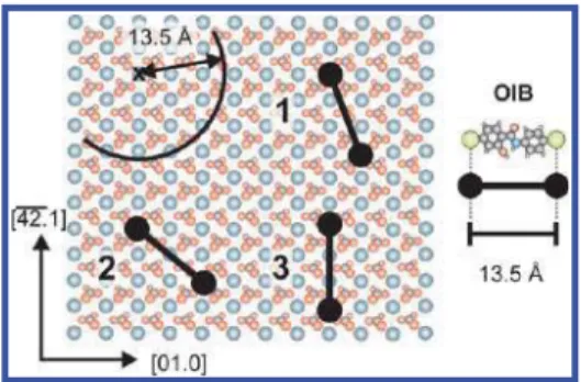 TABLE 1. Structural Fit of the OIB Adsorption Positions from Figure 2