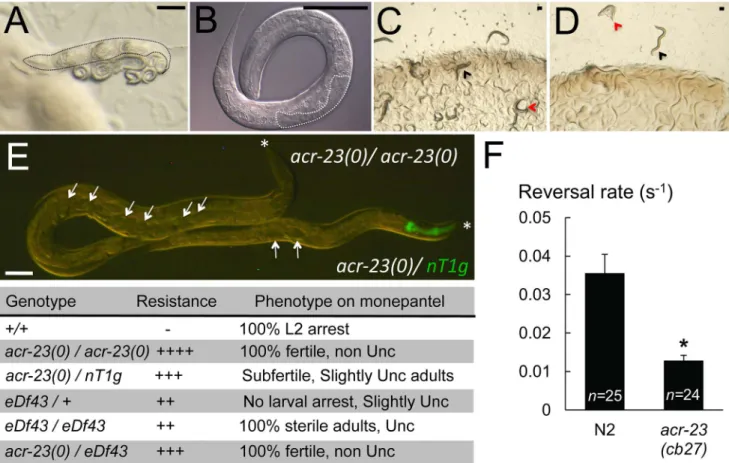 Figure 1. Effects of monepantel on C. elegans and rescue of mutant acr-23 . A) Adult N2 hermaphrodite with hatched embryos on 60 mM monepantel