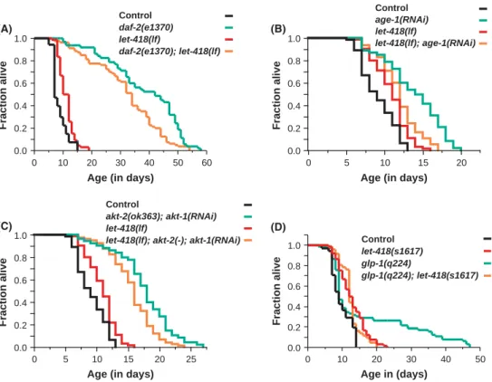 Fig. 5 let-418 interacts with the insulin signaling and the germ-cell-loss pathways. (A) daf-2 signiﬁcantly increases the lifespan of let-418 worms (P < 0.0001)